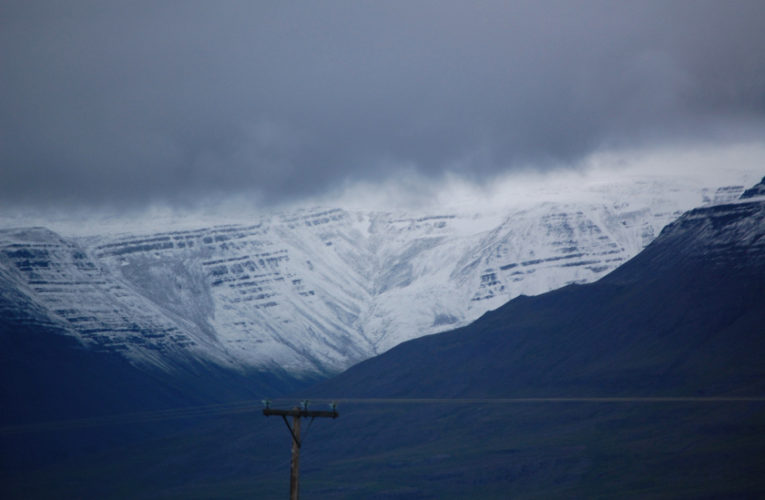The Cedars: Motherhoodwinked. A PTSD survivor’s tale.