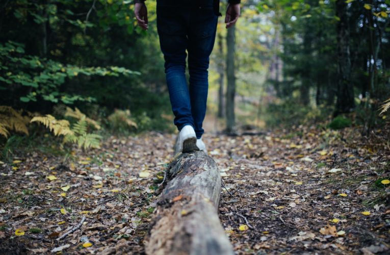 Tips for Balancing your Hormones Naturally  in The Cedars